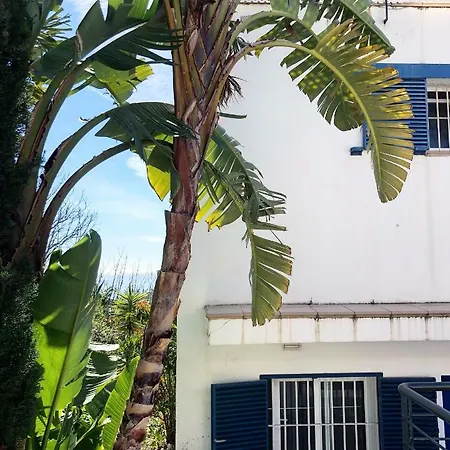 Arcadia Apartamento